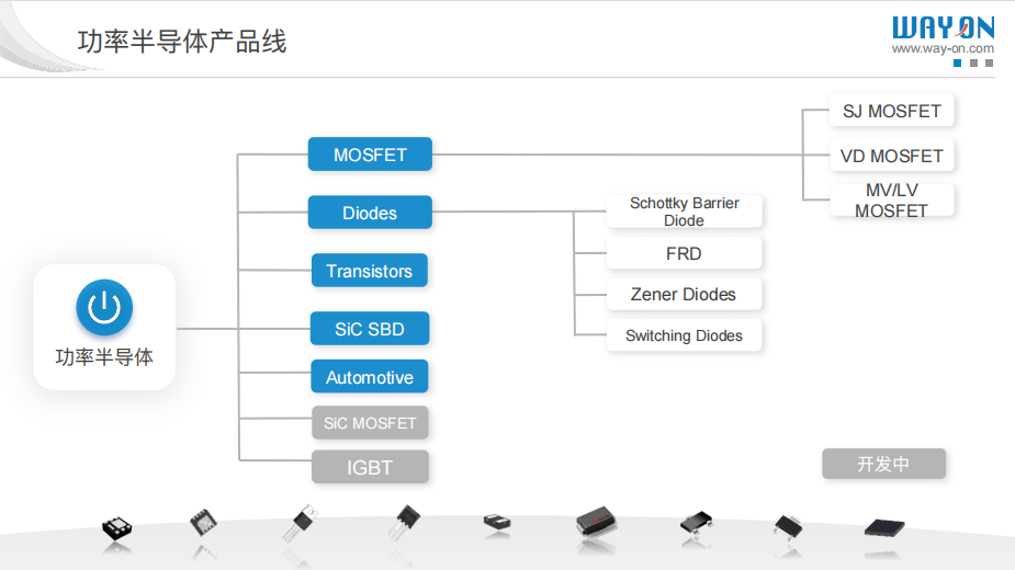 WAYON代理商，維安MOS管，維安SBD，肖特基二三極管，維安LDO線性穩(wěn)壓，PTC，保險(xiǎn)絲，ESD ，IGBT ，OVP， TVS代理商.png